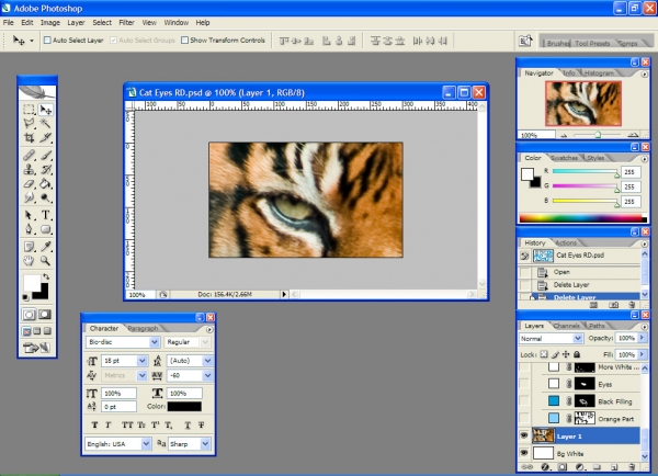 Creation of Eye Of The Tiger: Step 2